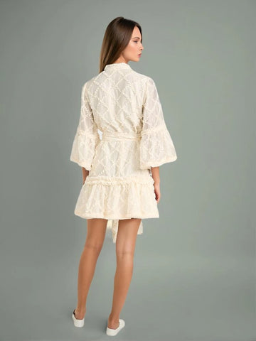 Flare Sleeve Lace Sheer Mini Dresses