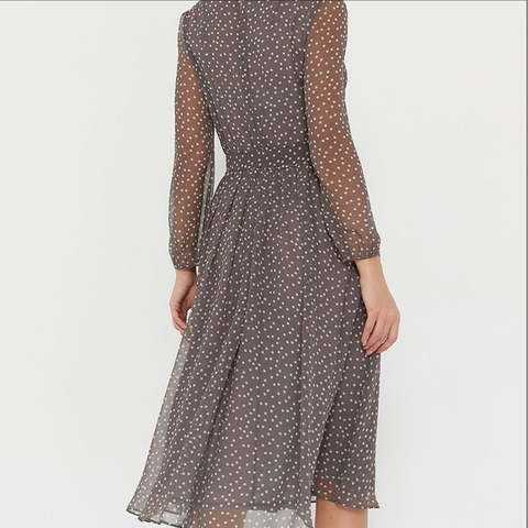 Besticktes, transparentes, tailliertes Kleid