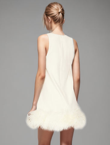 Feathers Hem Sleeveless Minimalsit Mini Dress