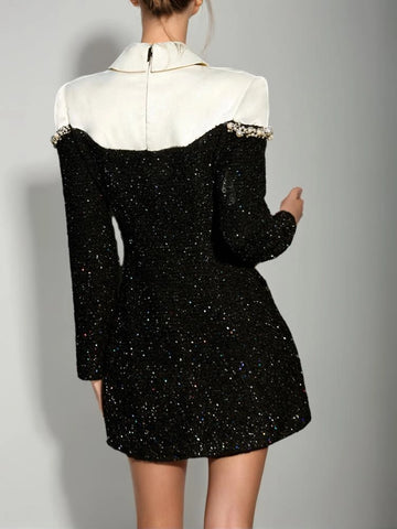 Sequin Studded Long Sleeve A-line Mini Dresses