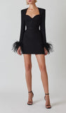 Stretch Long Sleeves Feather Mini Dress in Black