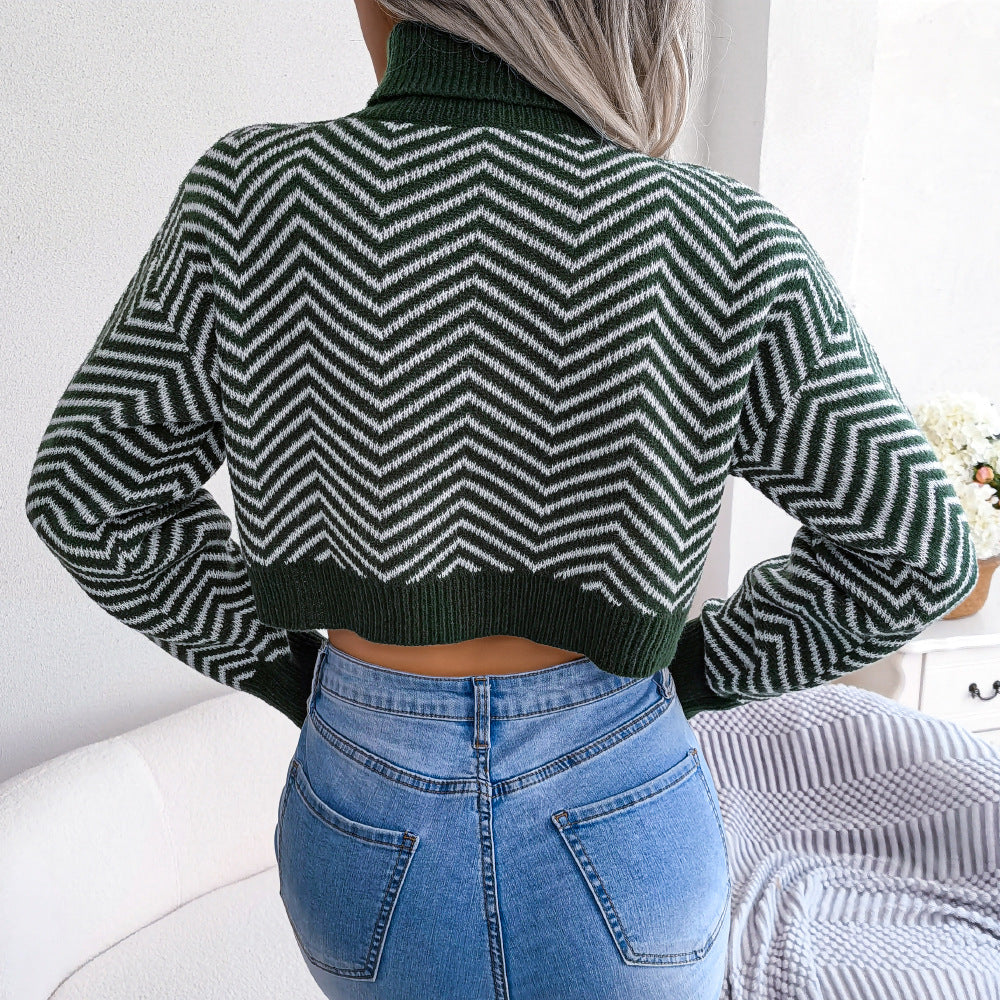 Kurzer Pullover mit Rollkragen und Chevron-Muster