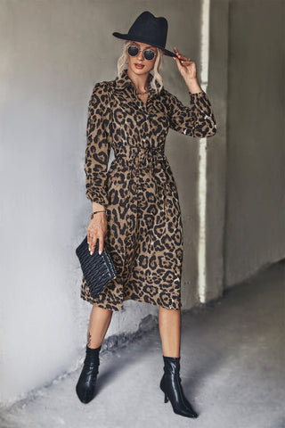 Leopard Print Belted Slit Shirt Dress