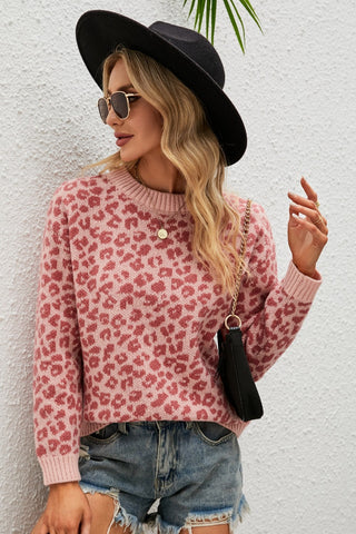 Leopard Ribbed Trim Round Neck Sweater