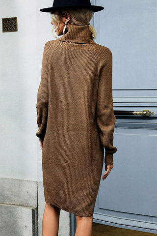 Turtleneck Raglan Sleeve Side Slit Sweater Dress