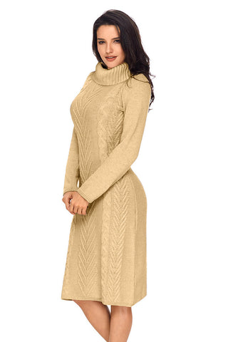 Turtle Neck Bodycon Sweater Dress